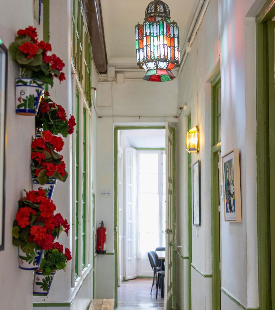 Academia de español Málaga. Instituto Picasso